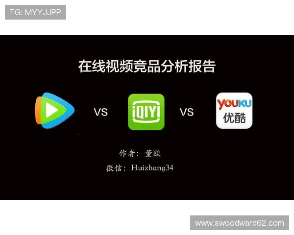爱游戏体育app官方网址未来发展趋势与升级计划分析